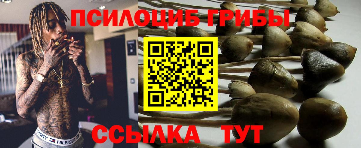 Псилоцибиновые грибы GOLDEN TEACHER Кировск