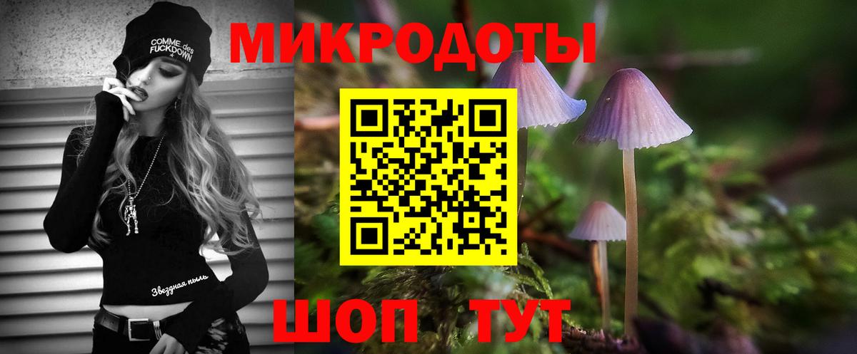 Галлюциногенные грибы GOLDEN TEACHER  Вход с VPN  Галлюциногенные грибы Psilocybe  купить   Кировск 